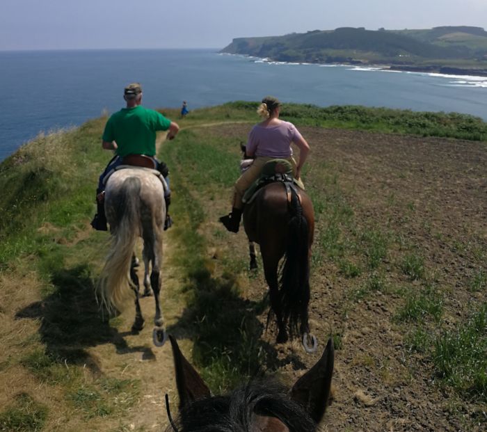 Wild Northern Spain