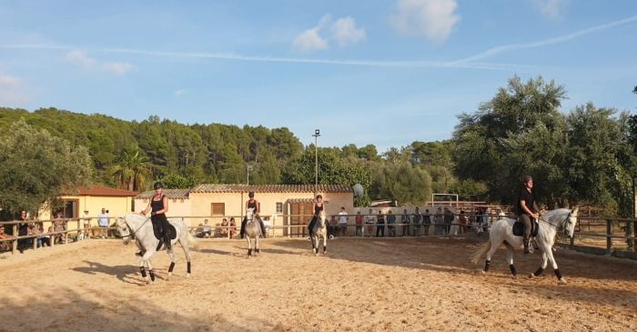 Dressage, Western and Horsemanship at Mallorca