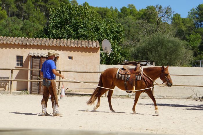 Dressage, Western and Horsemanship at Mallorca