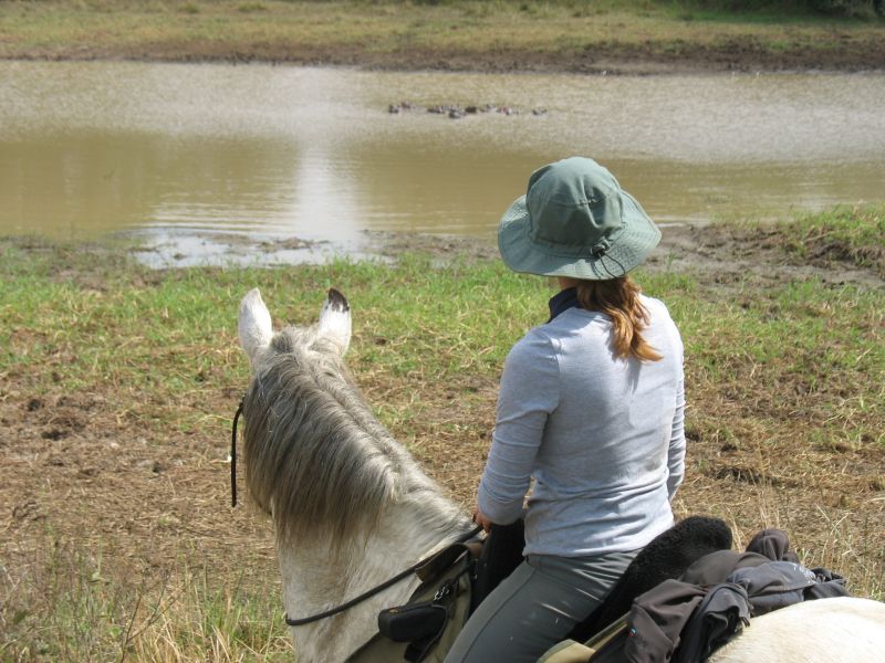 Ubuntu Adventure Trail