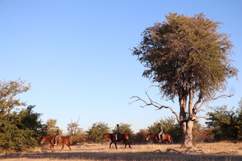Ubuntu Adventure Trail