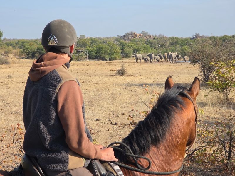 Ubuntu Adventure Trail