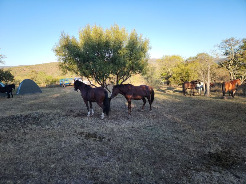 Ubuntu Adventure Trail