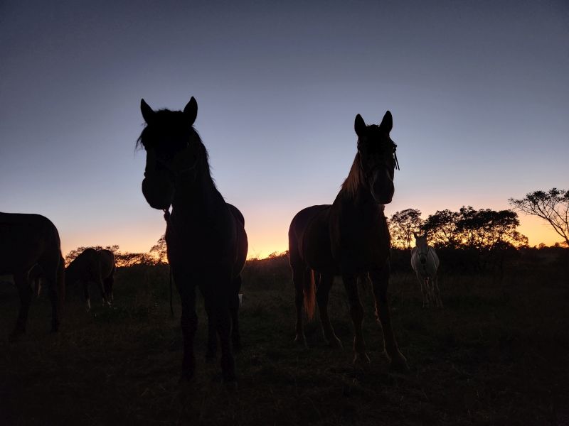 Ubuntu Adventure Trail