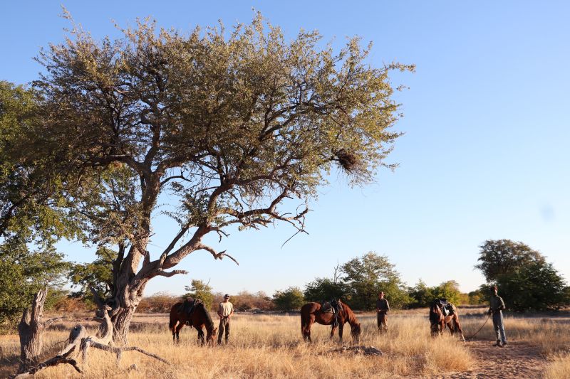 Ubuntu Adventure Trail