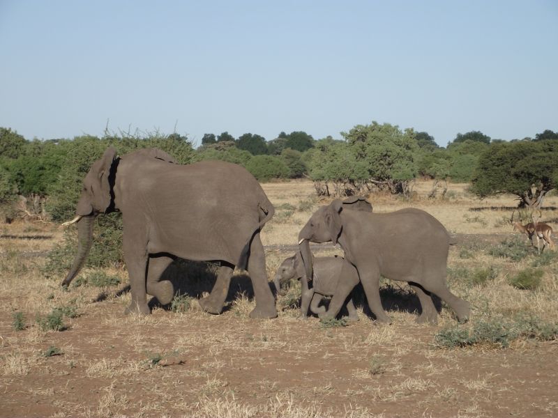 Ubuntu Adventure Trail