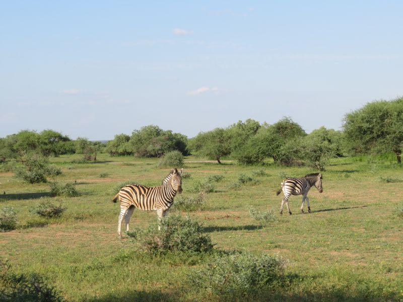 Ubuntu Adventure Trail