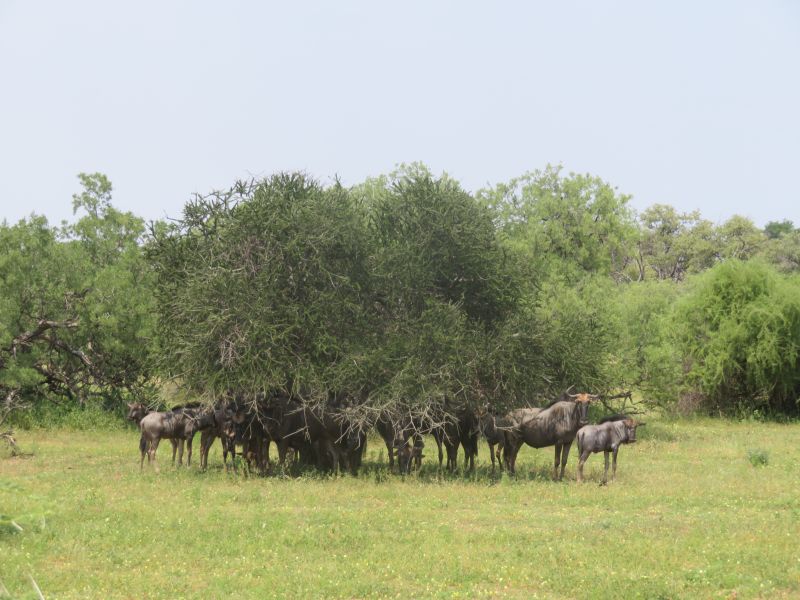 Ubuntu Adventure Trail