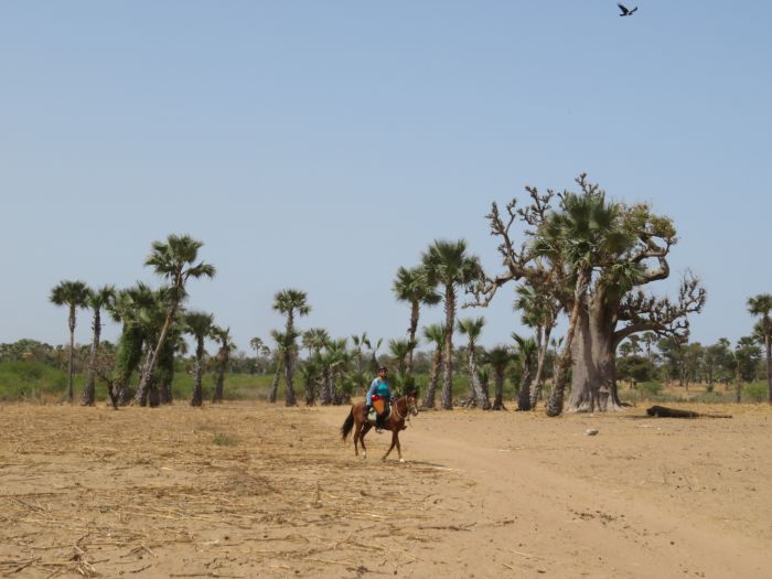 Ride through West Africa´s savannah to the coast