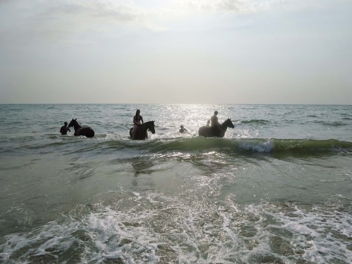 Ride through West Africa´s savannah to the coast