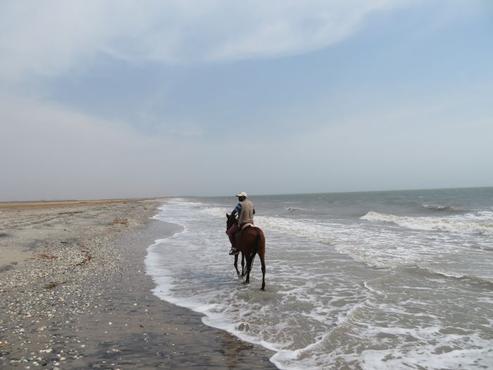 Ride through West Africa´s savannah to the coast
