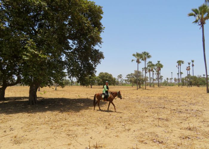 Ride through West Africa´s savannah to the coast
