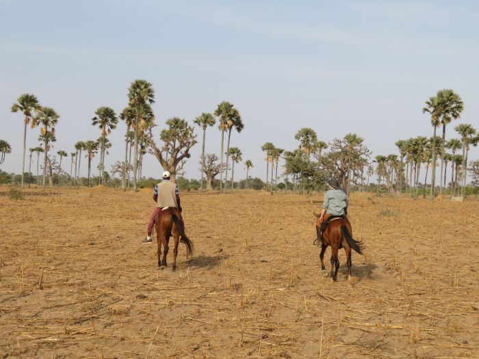 Ride through West Africa´s savannah to the coast
