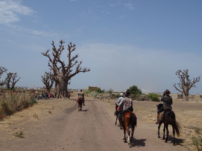 Ride through West Africa´s savannah to the coast