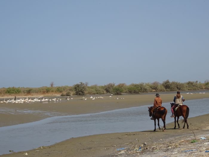 Ride through West Africa´s savannah to the coast