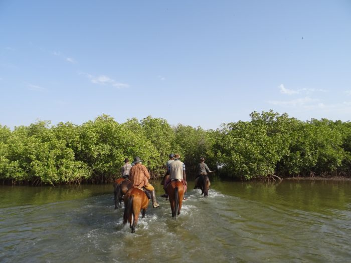 Ride through West Africa´s savannah to the coast