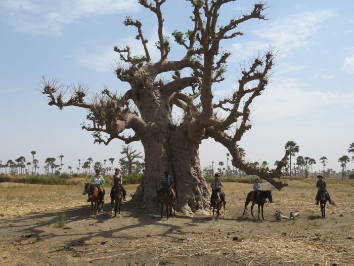 Ride through West Africa´s savannah to the coast
