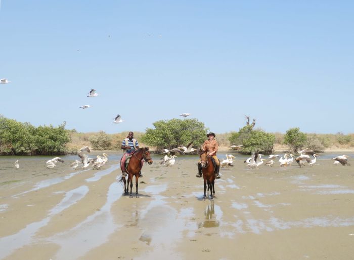 Ride through West Africa´s savannah to the coast