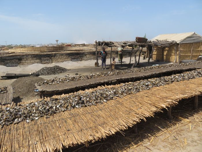 Ride through West Africa´s savannah to the coast