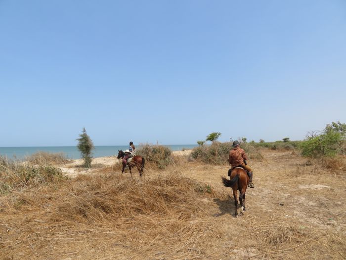 Ride through West Africa´s savannah to the coast