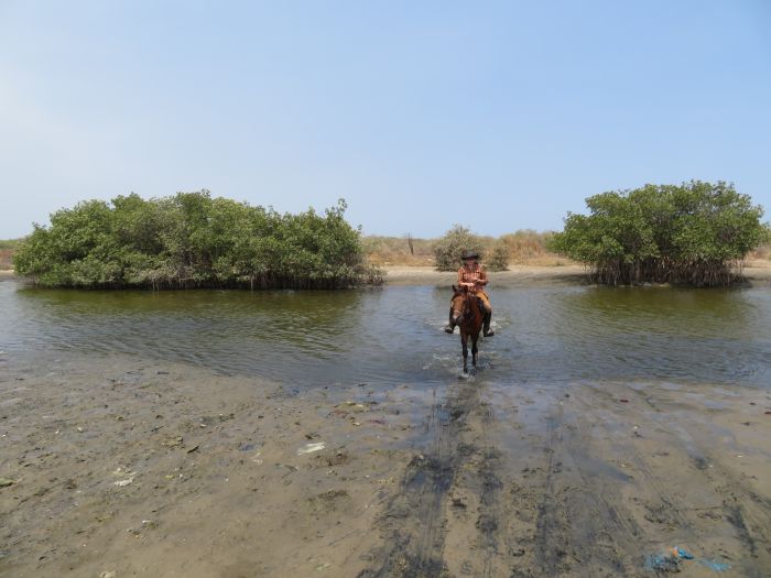 Ride through West Africa´s savannah to the coast