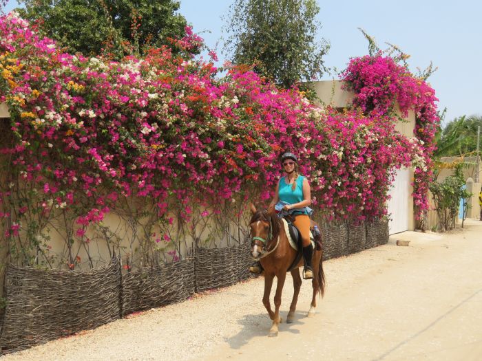 Ride through West Africa´s savannah to the coast