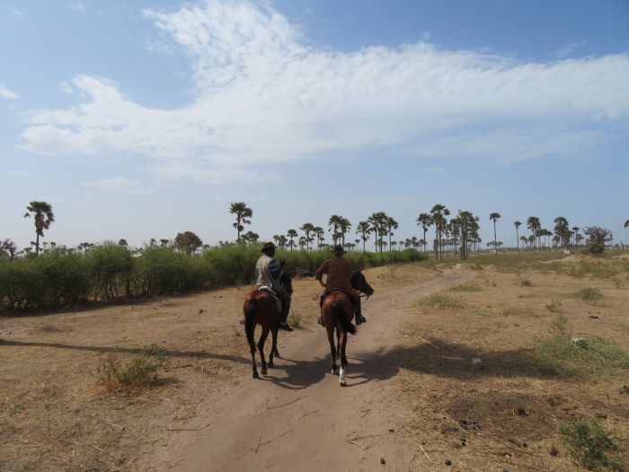 Ride through West Africa´s savannah to the coast