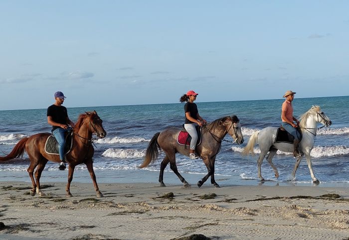 Sun Island Djerba