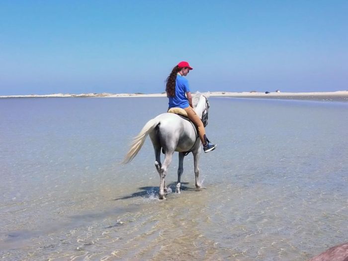 Sun Island Djerba