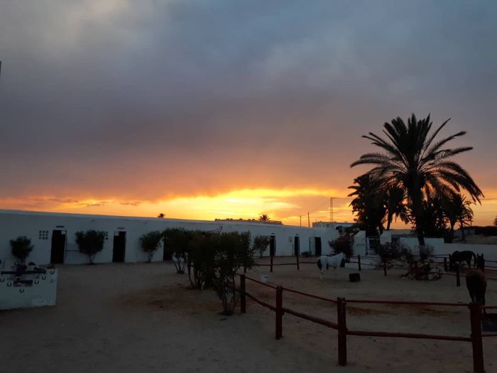 Sun Island Djerba