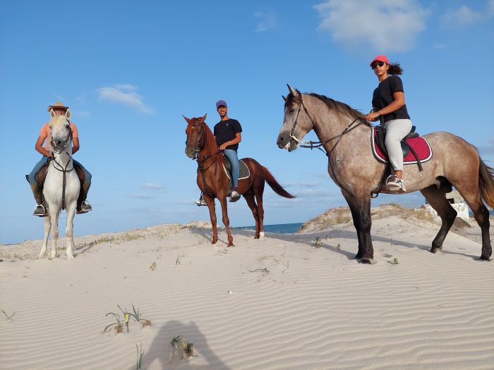 Sun Island Djerba