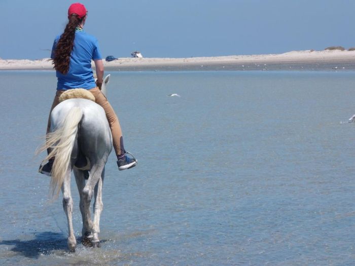 Sun Island Djerba