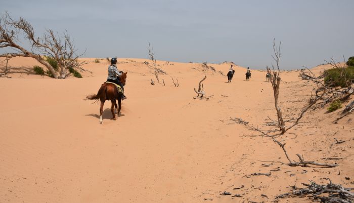 Essaouira Coastal Trail