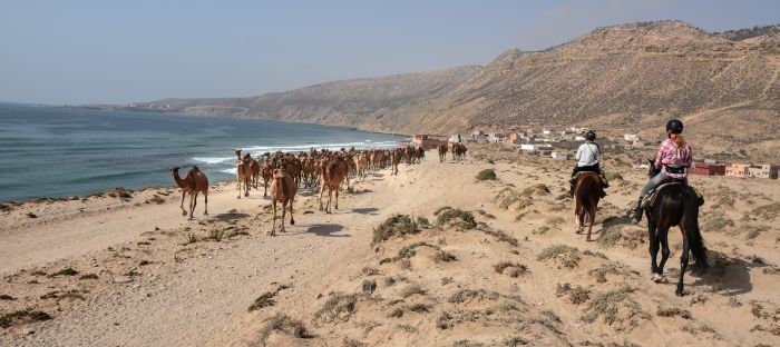 Essaouira Coastal Trail