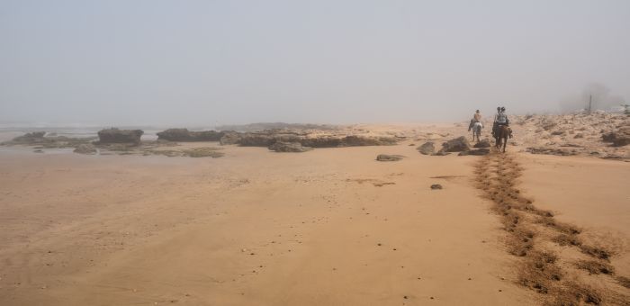 Essaouira Coastal Trail