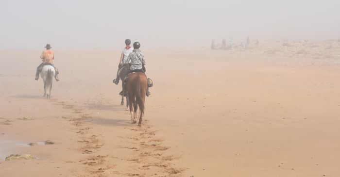 Essaouira Coastal Trail