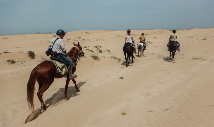 Essaouira Coastal Trail