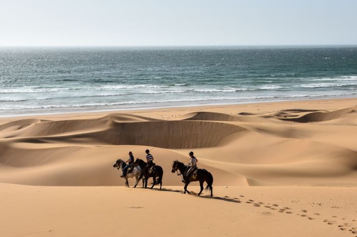 Essaouira Coastal Trail