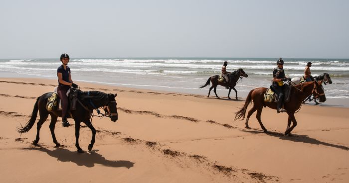 Essaouira Coastal Trail