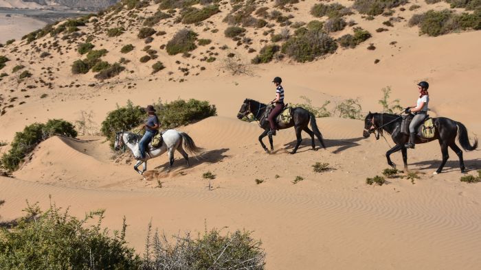 Essaouira Coastal Trail