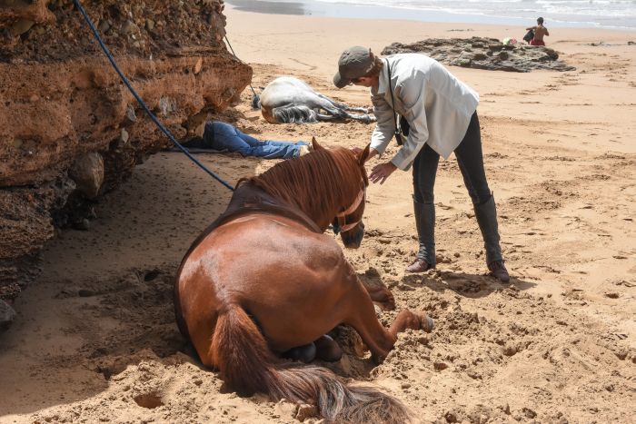 Essaouira Coastal Trail