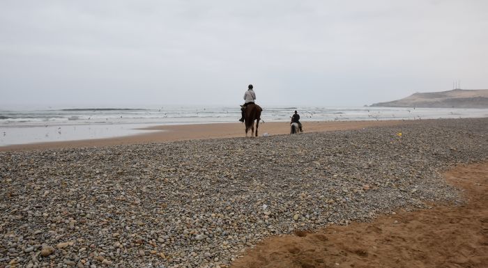 Essaouira Coastal Trail
