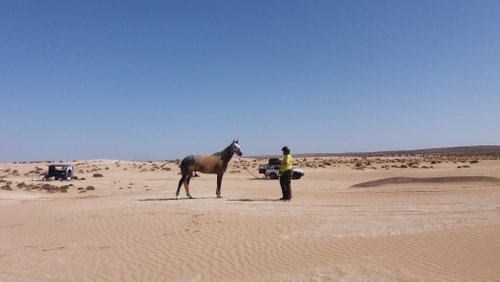 Riding Centre at the Sea