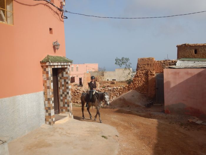 Riding Centre at the Sea