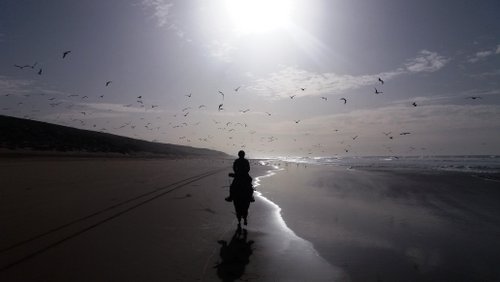 Riding Centre at the Sea