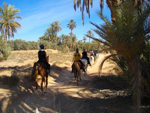 Riding Centre at the Sea