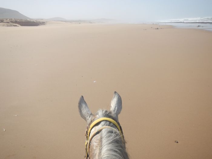 Riding Centre at the Sea