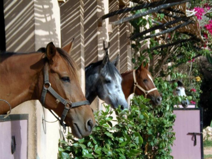 Riding Centre at the Sea