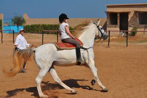Riding Centre at the Sea