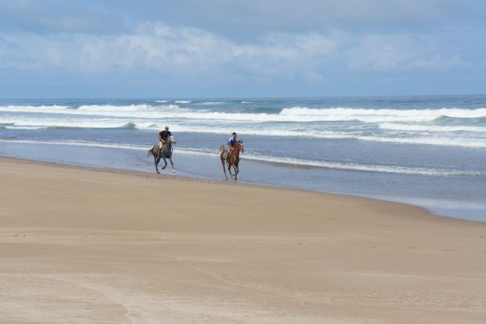 Riding Centre at the Sea
